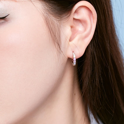 [Luxe Jewels]Radiant Colorful Round Cut Earrings